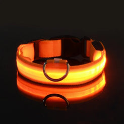 LED Dog Collar – Glowing Night Safety Collar for Pets