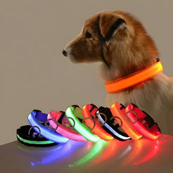 LED Dog Collar – Glowing Night Safety Collar for Pets