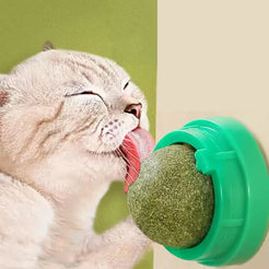 Wall-Mounted Catnip Ball – Natural Treat & Claw Care