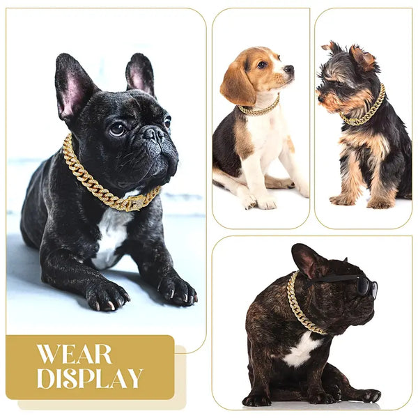 Gold Dog Collar Walking Chain With Secure Buckle - onlinemegasale.com Gold Dog Collar Walking Chain With Secure Buckle - onlinemegasale.com