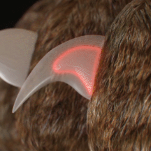 Professional Dog LED Nail Clipper - onlinemegasale.com