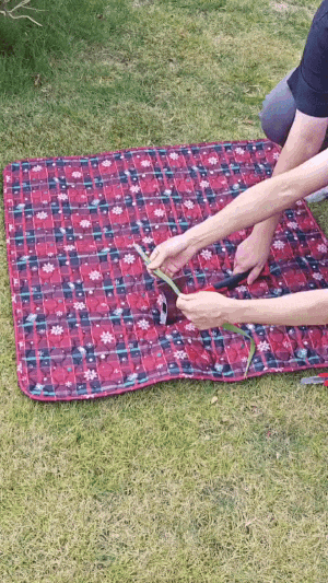 Christmas gift: For your Pet, 1pc Pet Pad - onlinemegasale.com