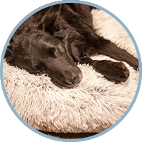 Large Dog Bed Cover Protector Warm Calming Plush - onlinemegasale.com