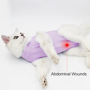 CAT RECOVERY SUIT