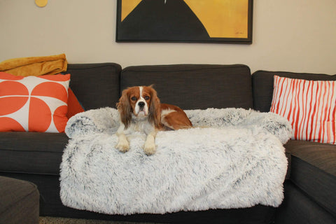 Large Dog Bed Cover Protector Warm Calming Plush - onlinemegasale.com