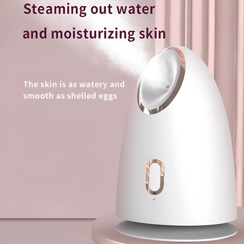Nano Mist Facial Steamer - onlinemegasale.com