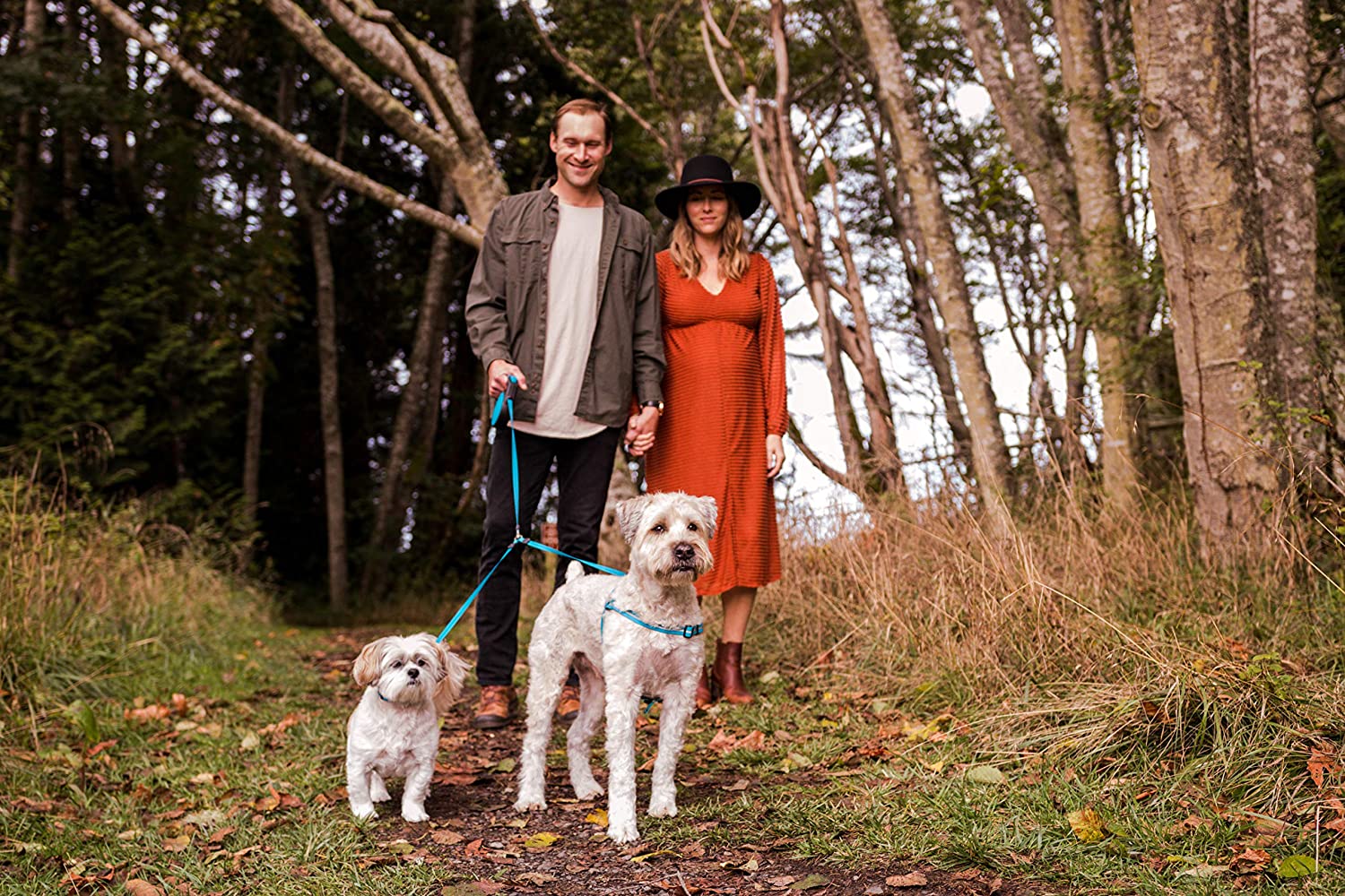 2 Dog Retractable Leash 14 or 18 ft Distance with Coupler - onlinemegasale.com