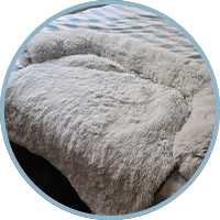 Large Dog Bed Cover Protector Warm Calming Plush - onlinemegasale.com