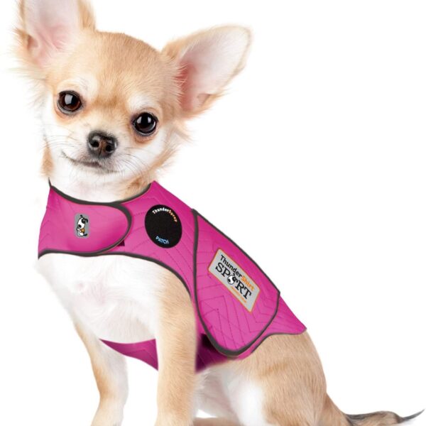 Dog Anxiety Sport  Vest Shirt