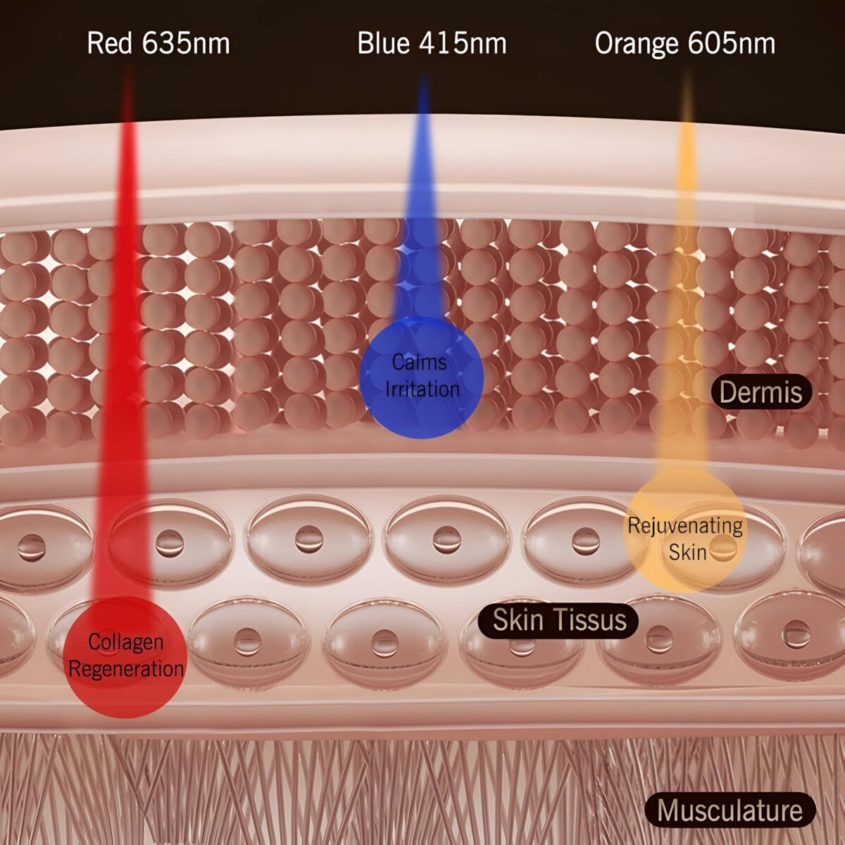 Silicone LED Facial Mask - onlinemegasale.com