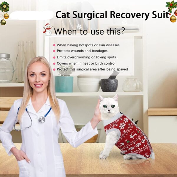 Cat Wound Surgery Recovery Suit