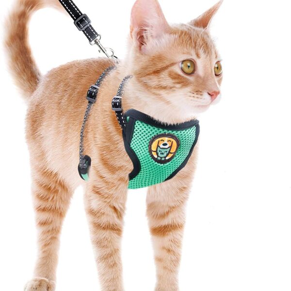 Kitten Adjustable  Harness and Leash for Cat Walking Jacket