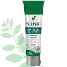 Teeth Cleaning and Fresh Breath Dental Care Gel - onlinemegasale.com