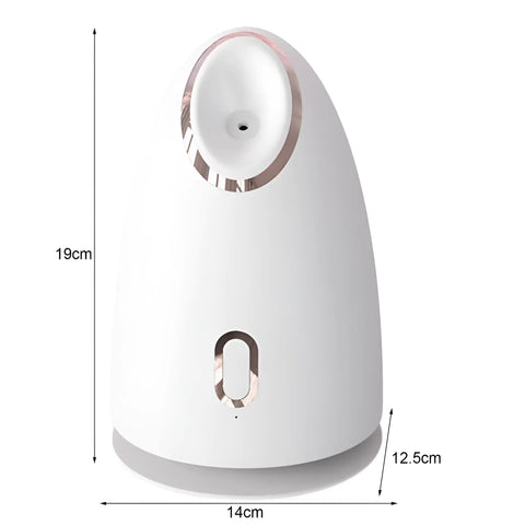 Nano Mist Facial Steamer - onlinemegasale.com