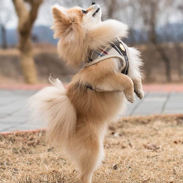 Pet Harness Authentic Junior Harness