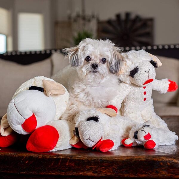 Lambchop Plush Dog Toy with Squeaker