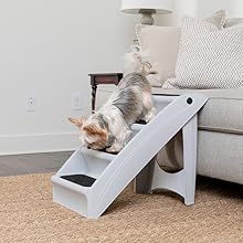 Dog using the stairs.