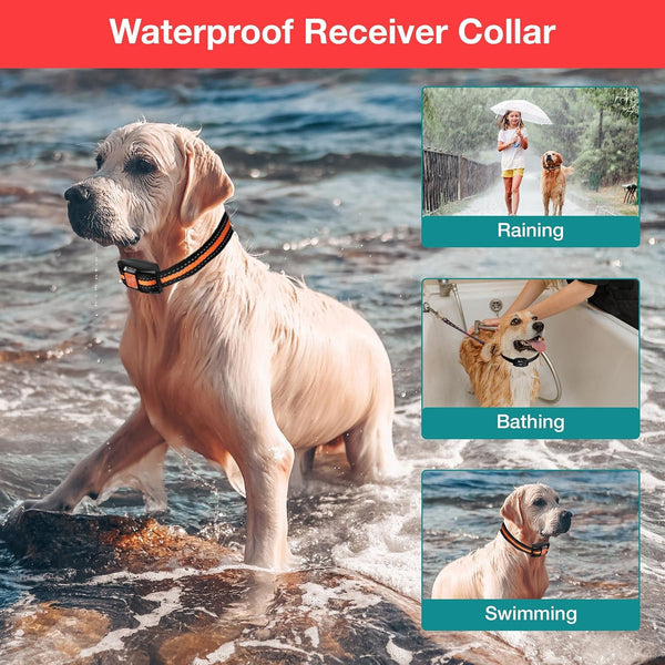 Dog Training Collar 3000 ft Remote Control Range Waterproof LED Light