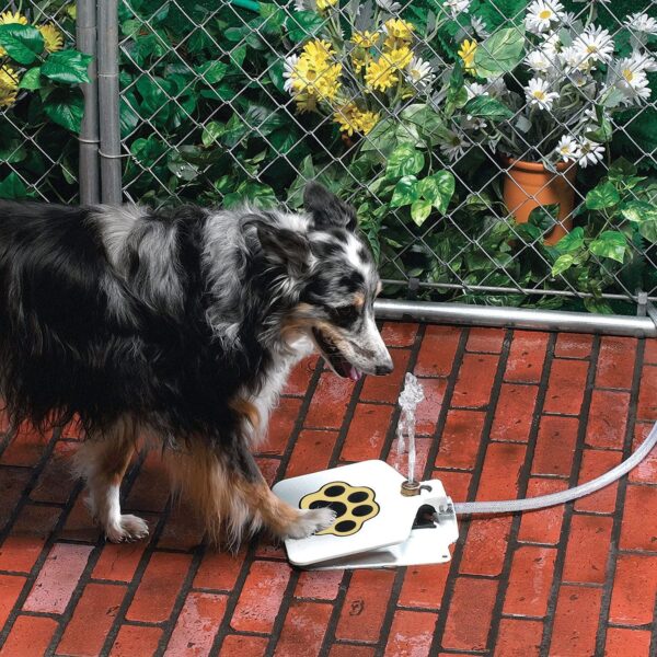 Step-On Outdoor Dog Water Fountain