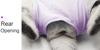 cat recovery suit