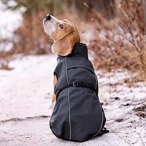 Triple-Layer Winter Coats for Dogs