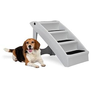 Dog on white background laying next to steps.