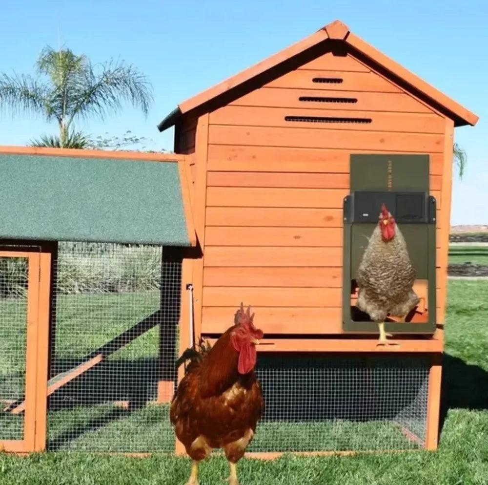 Automatic Chicken Coop Door - onlinemegasale.com Automatic Chicken Coop Door - onlinemegasale.com