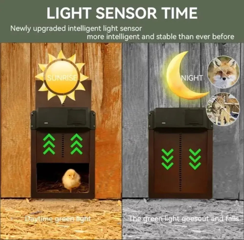 Automatic Chicken Coop Door - onlinemegasale.com Automatic Chicken Coop Door - onlinemegasale.com