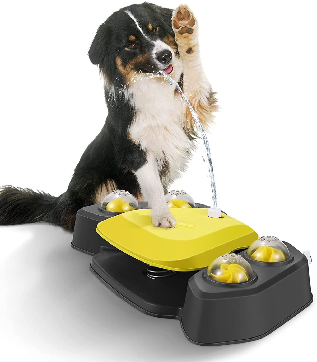 Dog Water Sprinkler - onlinemegasale.com
