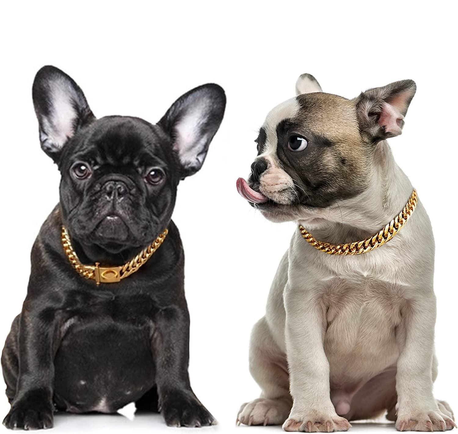 18K Gold Dog Chain Collar Cuban Link Heavy Duty Super Strong Chew Proof - onlinemegasale.com