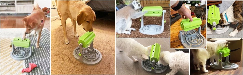 Slow Feeder Dog Bowl Interactive Slow Eating Training - onlinemegasale.com