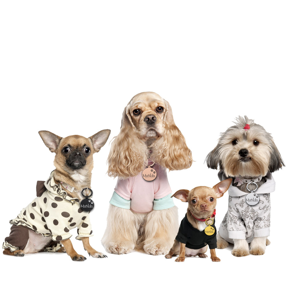 H017b43c1bf5c4dd6aff0f5cc99b700b3b Engraved Pet ID Tag Personalized Custom Name Pendant - onlinemegasale.com