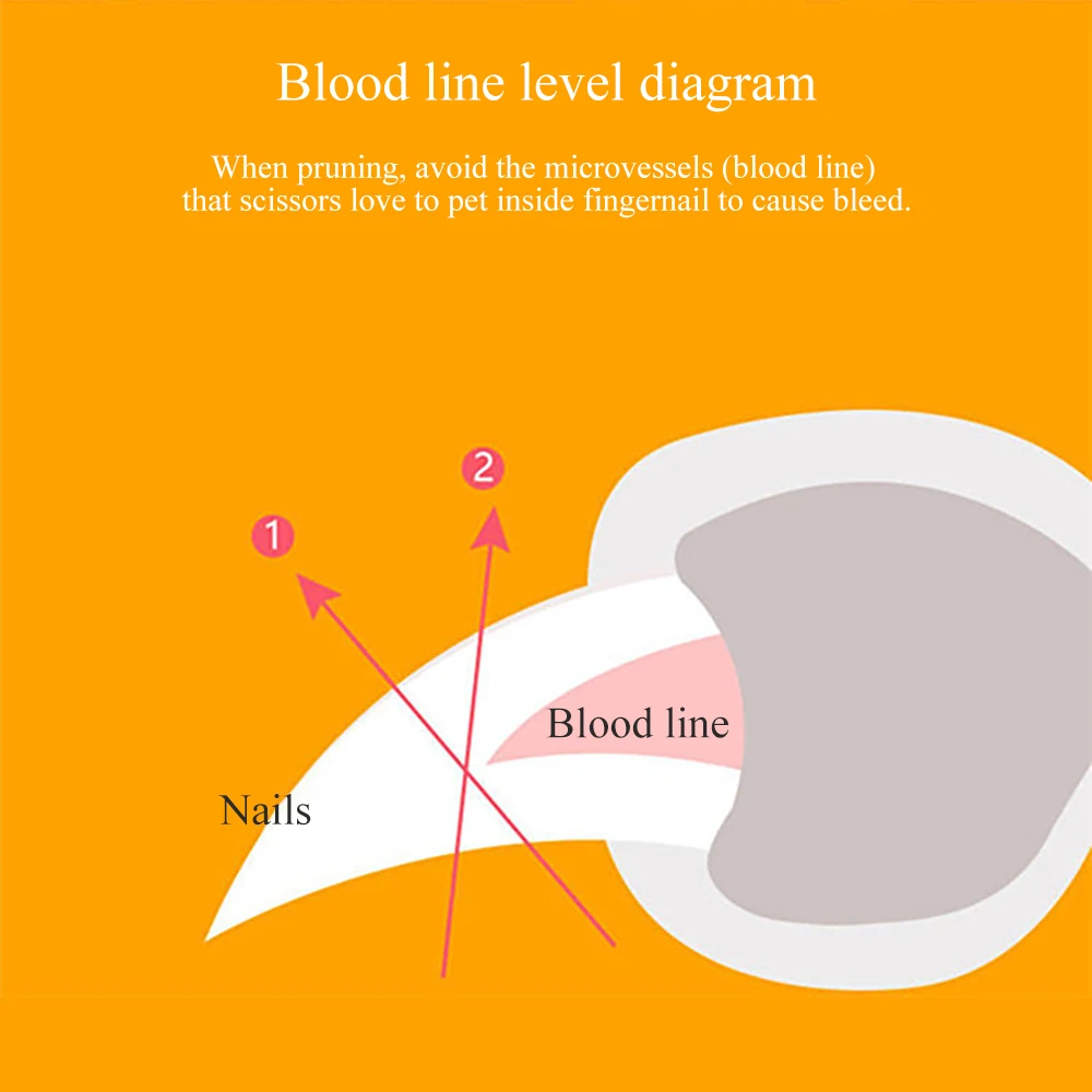 Professional Dog LED Nail Clipper - onlinemegasale.com