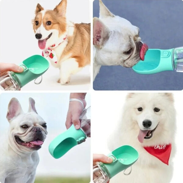 Portable Dog Water Bottle
