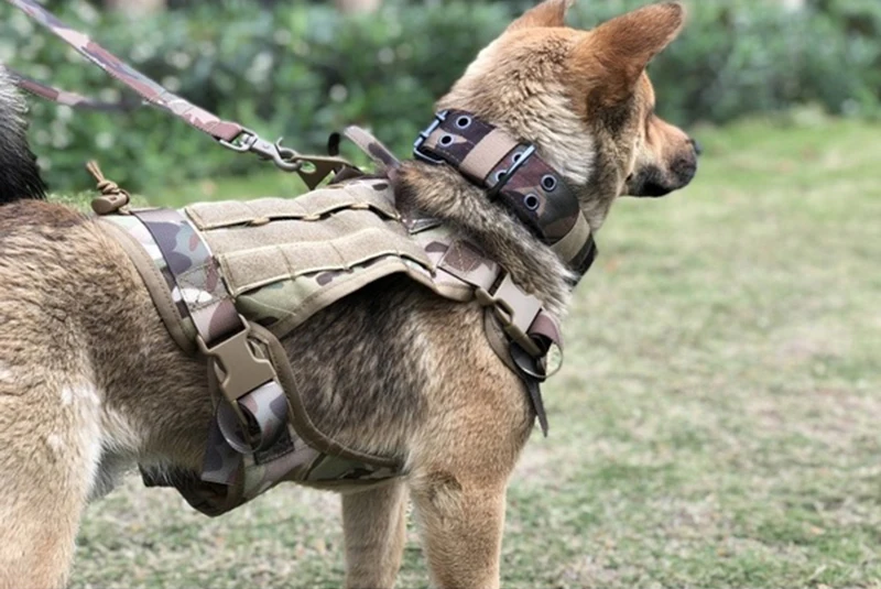 Tactical Breathable Adjustable Dog Vest harness - onlinemegasale.com