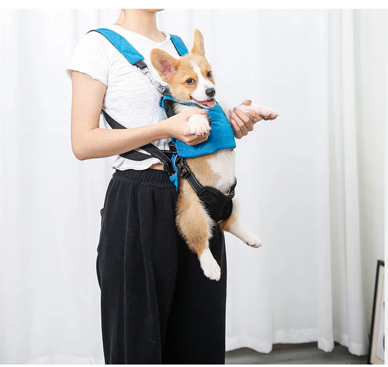 Dog Chest Carrier Harness Backpack with Walking Lead - onlinemegasale.com