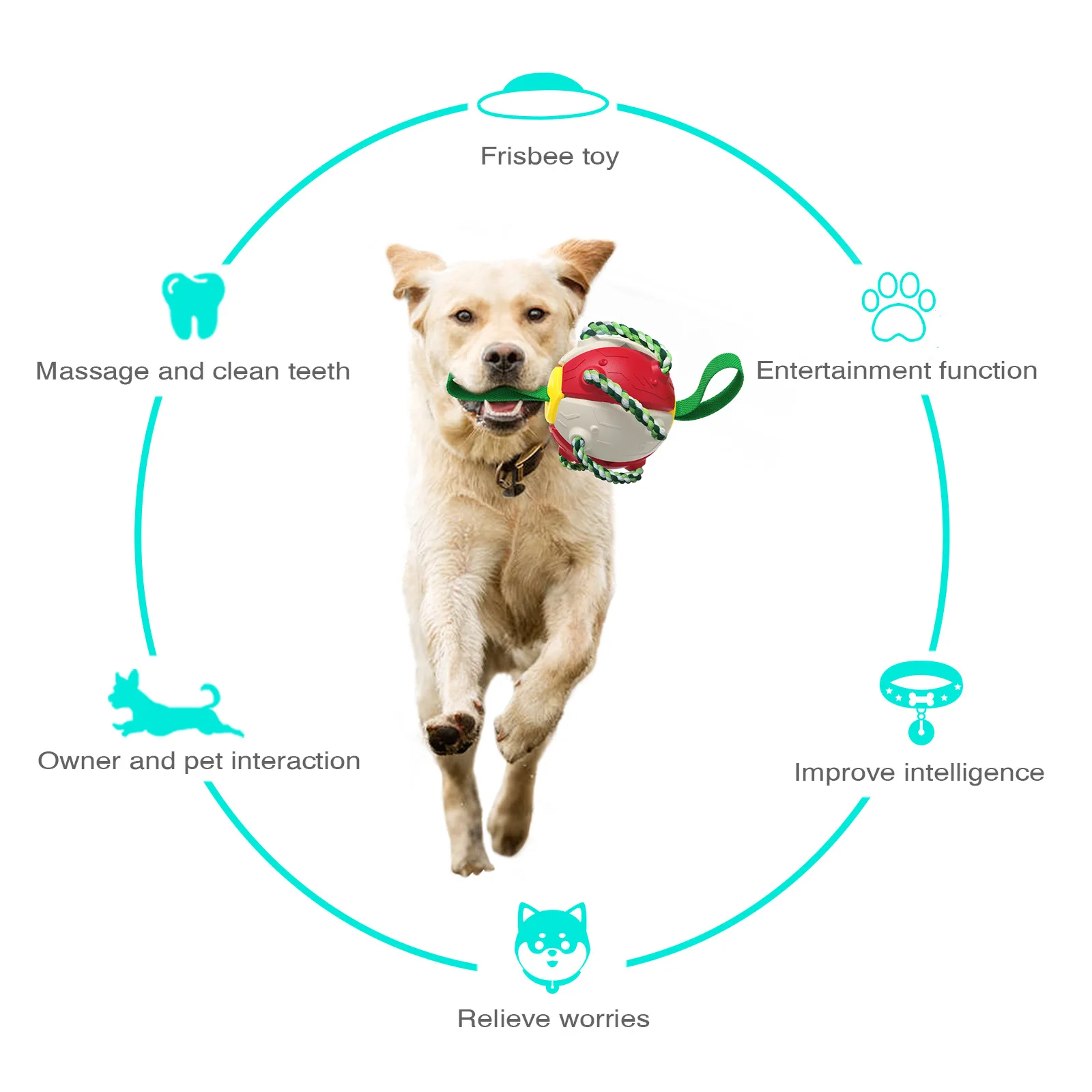 Interactive Dog Soccer Ball Toy with Durable Grab Tabs - onlinemegasale.com