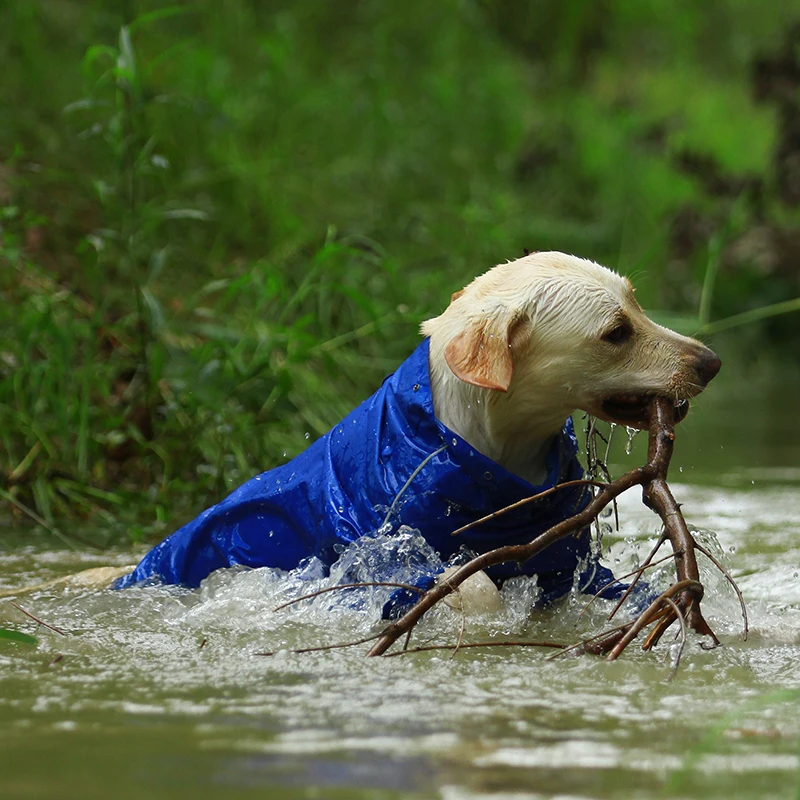 High Neck Hooded Waterproof Zipper Dog Reflective Raincoat - onlinemegasale.com