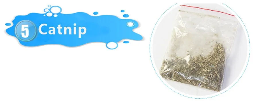 Cat Massager Grooming Scratching Brush - onlinemegasale.com