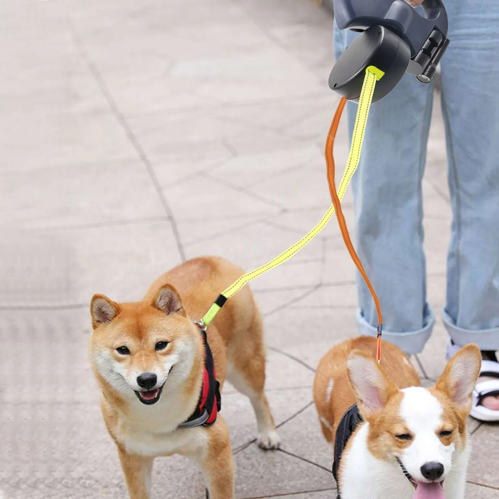 Dual Retractable Double Head Dog Leash No Tangle - onlinemegasale.com