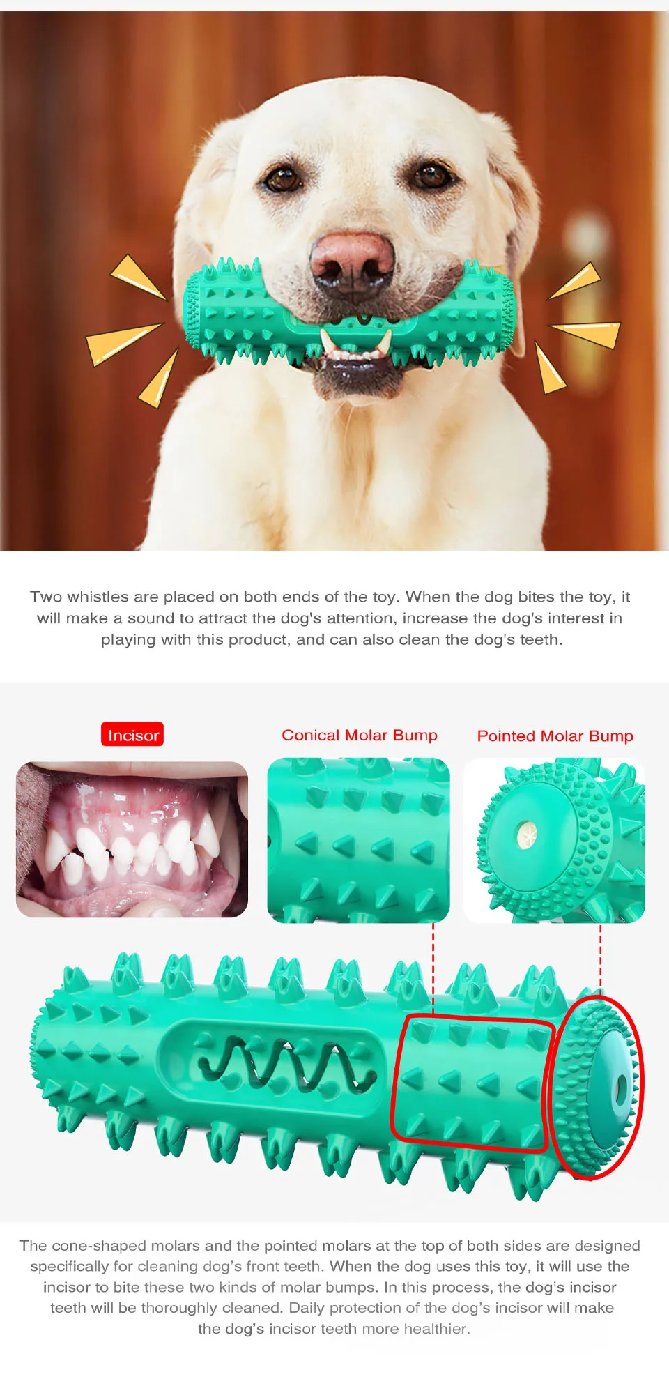 Dog Toothbrush Dental Care Molar Chewbrush - onlinemegasale.com