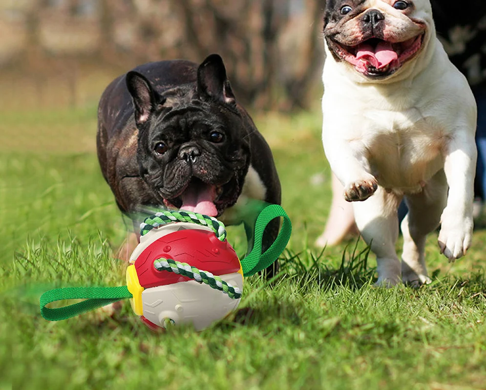 Interactive Dog Soccer Ball Toy with Durable Grab Tabs - onlinemegasale.com
