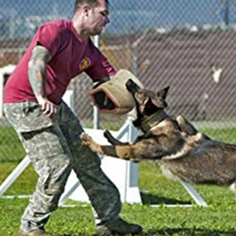 Thicken Professional Dogs Bit Training Arm Sleeve for Arm Protection Biting for Puppy Biting Playing - onlinemegasale.com