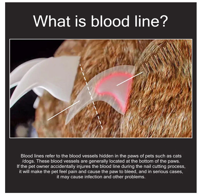 Professional Pet LED Nail Clipper - onlinemegasale.com