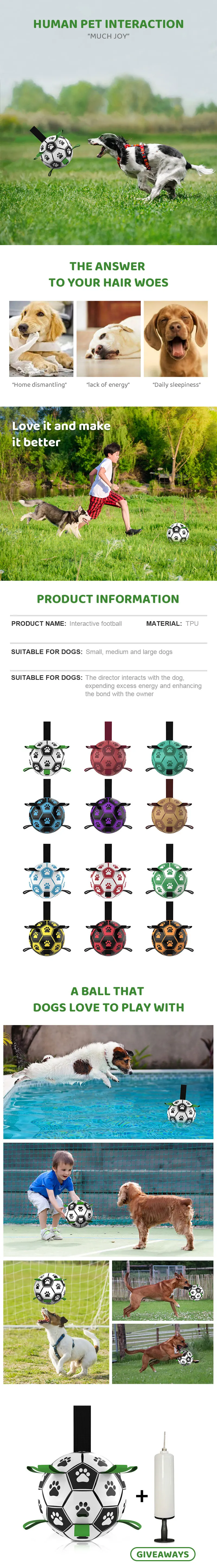 Durable Dog Ball IQ Puzzle Chew Toy Ball - 6.5in - onlinemegasale.com