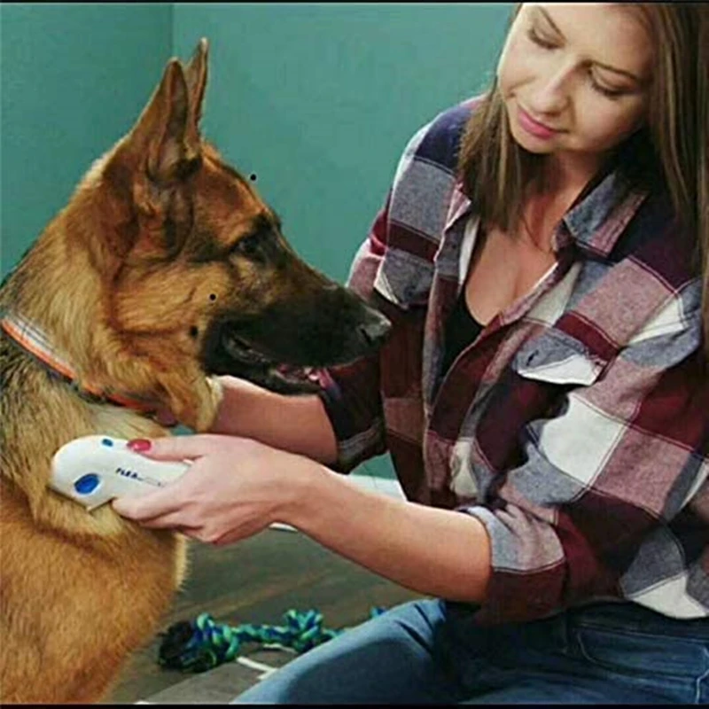 Electric Pet Grooming Brush for Dogs and Cats - onlinemegasale.com