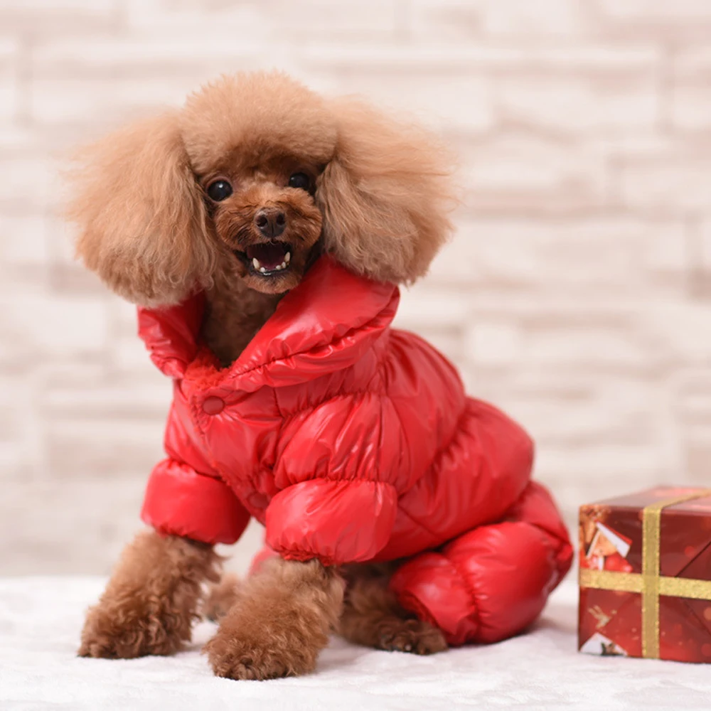 Warm Dog Winter Coat Jacket - onlinemegasale.com