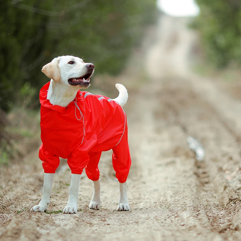 High Neck Hooded Waterproof Zipper Dog Reflective Raincoat - onlinemegasale.com