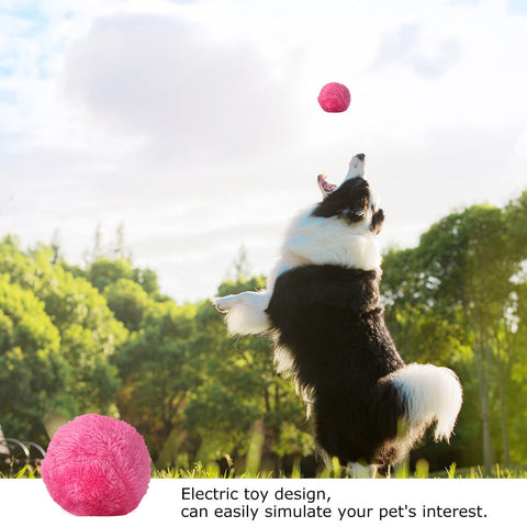 Automatic Rolling Ball For Dogs - onlinemegasale.com