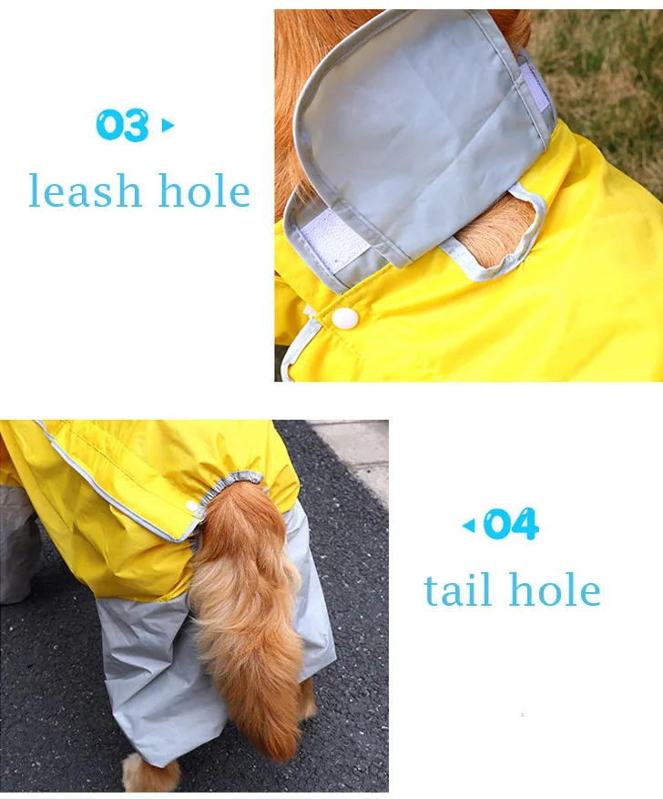 dog rain suit
